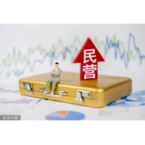 【二十大】重磅解讀！深刻把握黨的二十大關于促進民營經濟發展壯