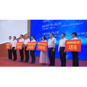 碧清源參加全國知識產權宣傳周活動